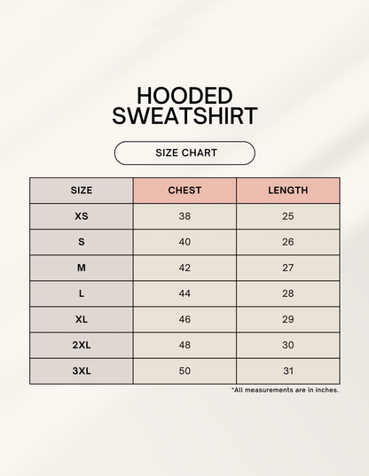 ASTON MARTIN - FLEECED HOODIE
