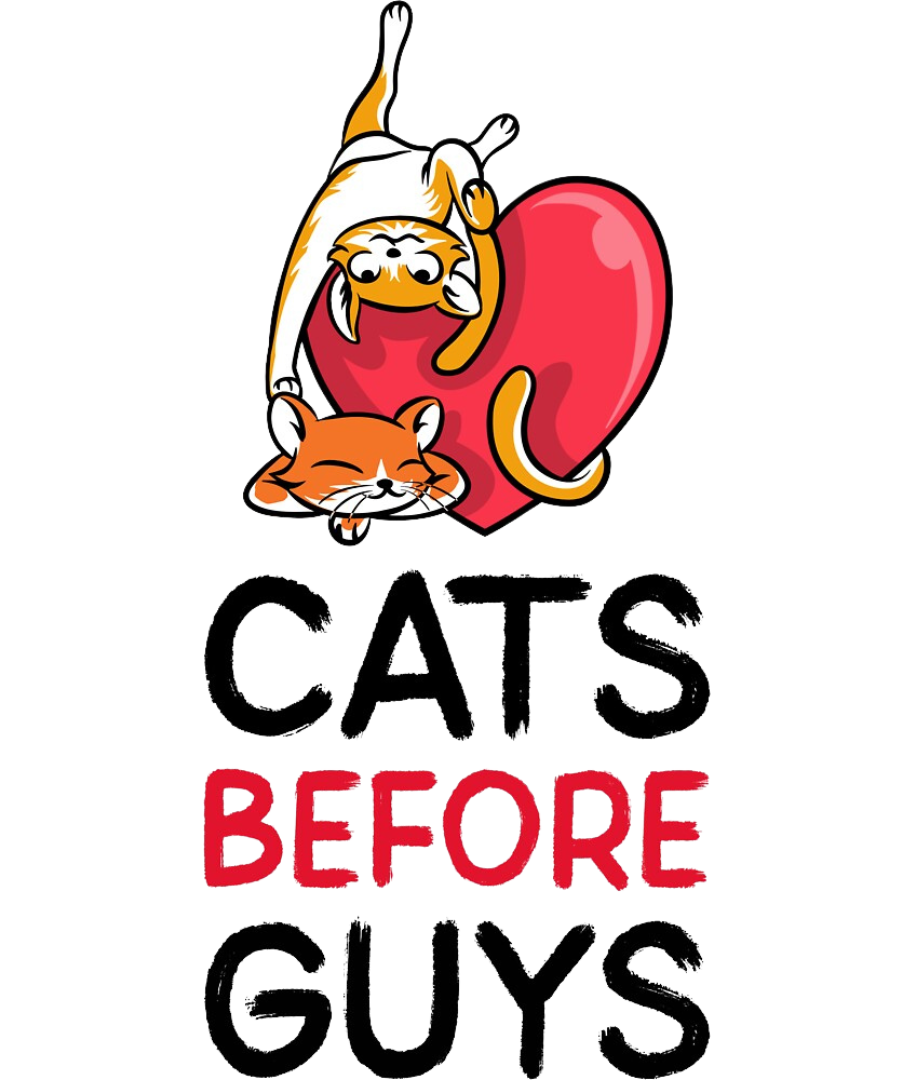 Cats Before Guys Classic Fit T-shirt